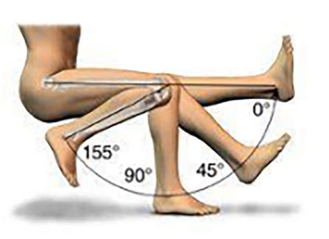 Knee Flexion And Extension Goniometry at Frances Leonard blog