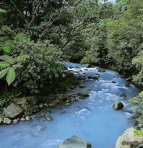 Blue river , Costa Rica. | Beautiful nature, Blue river, River