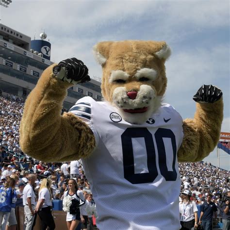 BYU's Cosmo the Cougar Is the Next Superstar Mascot