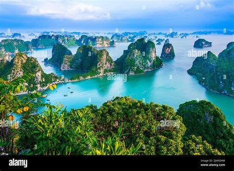 Panoramic view of Ha Long Bay Stock Photo - Alamy