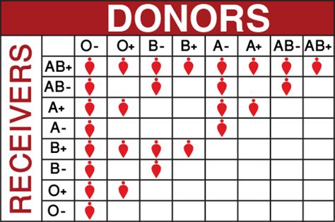 Blood Types - Chiropractic Information