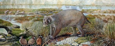 Gigantic Wombat-Like Creature Weighing Over 300 Pounds Roamed Prehistoric Australia : ScienceAlert