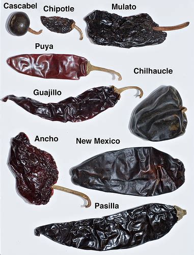 Dried Chile Tasting