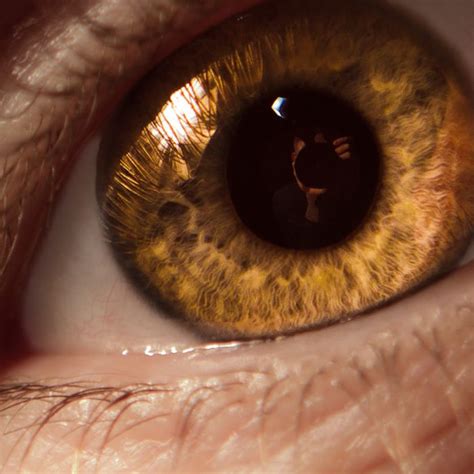 Mesmerizing Eyes Photography (20 pics)