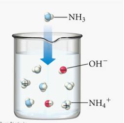 THE STRENGTH OF ACIDS AND ALKALIS - CHEMISTRY : ACIDS and BASES