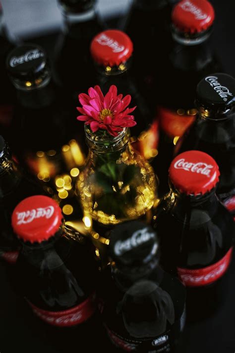 Flower on Coca-Cola Bottle · Free Stock Photo