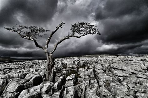 Textures In Black And White: View The Photo Contest Finalists - VIEWBUG.com