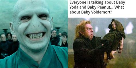 🔶 Harry Potter: 10 Memes That Perfectly Sum Up Voldemort As A Character 📖 screenrant.lol | Harry ...