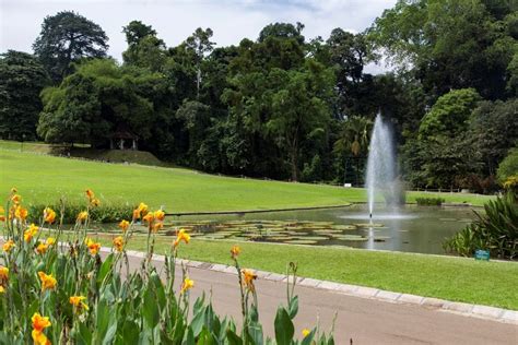 INDONESIA - The Bogor Botanical Gardens as a stop between Jakarta and Bandung – Chris Travel Blog