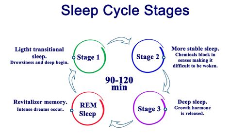 Learn All About The Different Stages Of Sleep | Choose Mattress