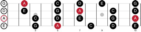 The Major Pentatonic Scale For Bass Players - Bass lines, solos, fills!