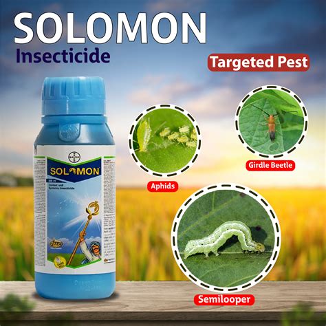 Bayer Solomon Insecticide – Agriplex