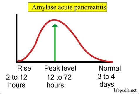 Amylase level (Serum) – Labpedia.net