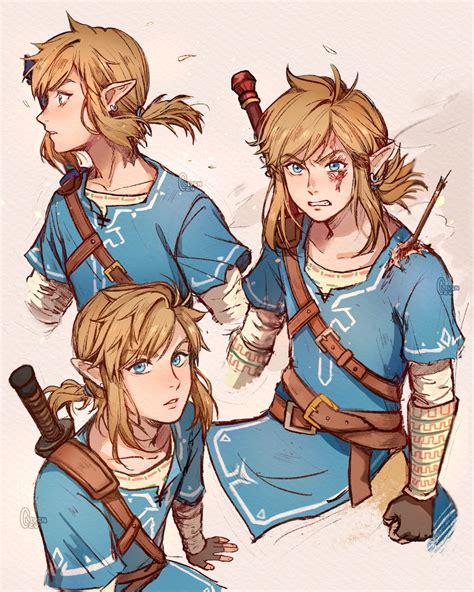 ず | ZU on Twitter: "A page of Links~ #BreathoftheWild ☀️🌱… " Legend Of Zelda Memes, The Legend ...