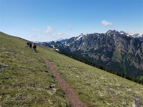 Day Hike - Mount Townsend — The Mountaineers