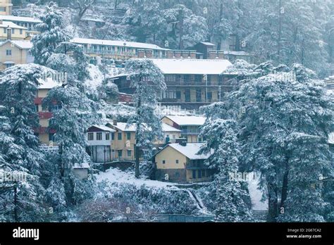 Latest views of Snowfall in Shimla Stock Photo - Alamy