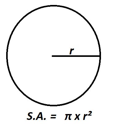 How to Calculate Surface Area of a Circle.