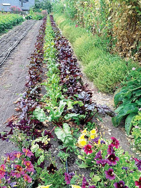 How to irrigate your landscape more effectively | Landscape, Edible landscaping, Garden projects