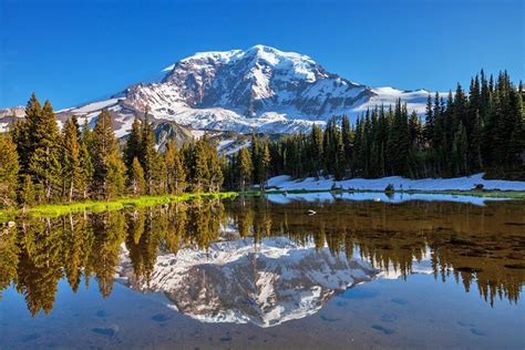 From Seattle to Mt. Rainier: 4 Best Ways to Get There | PlanetWare