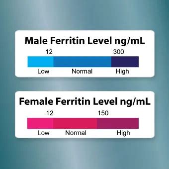 Normal Serum Ferritin Range | Hot Sex Picture