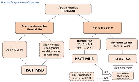 IJMS | Free Full-Text | Aplastic Anemia as a Roadmap for Bone Marrow ...