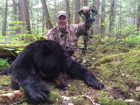 Black Bear Hunting | BC Guided Hunting | BC Hunts | Moose, Goat, Bear ...