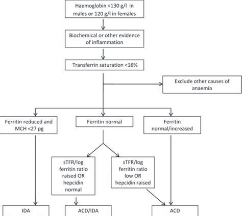 Anemia Of Chronic Disease