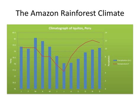 Amazon Rainforest Climate Map - Inge Regine