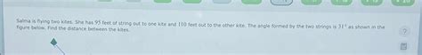Solved Salma is flying two kites. She has 95 ﻿feet of string | Chegg.com