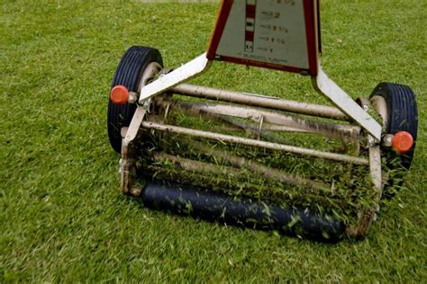 What are the Disadvantages of a Reel Mower? - Green Lawn Cares