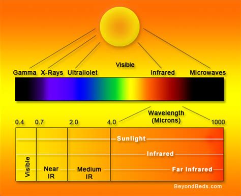 Far-infrared Heat is Beneficial to People and Pets