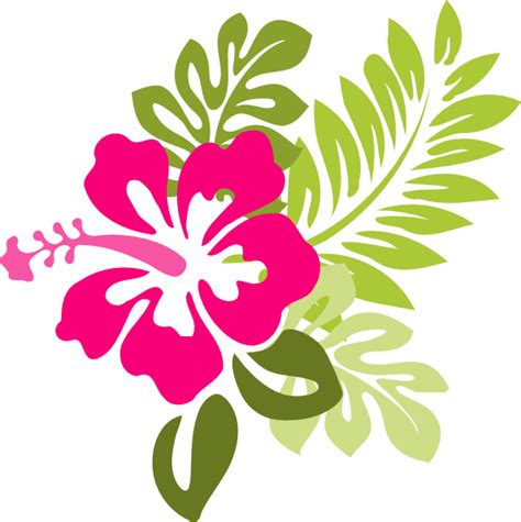 Hibiscus Cartoon - Cliparts.co