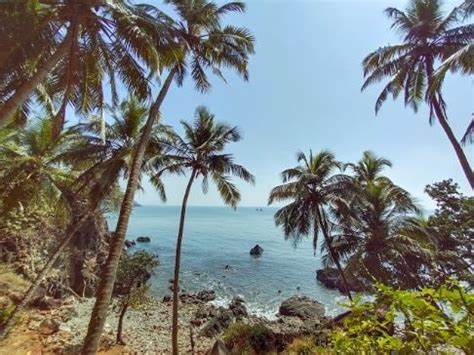 Cabo De Rama Fort | Goa - What to Expect | Timings | Tips - Trip Ideas by MakeMyTrip