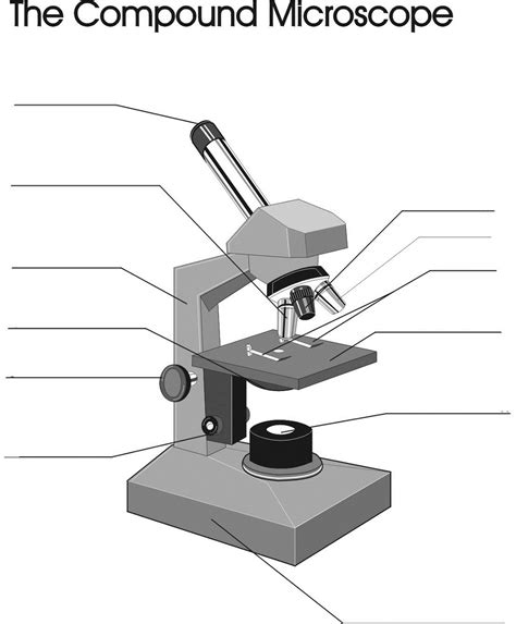 biology: 16+ Biology Microscope Labeled Background