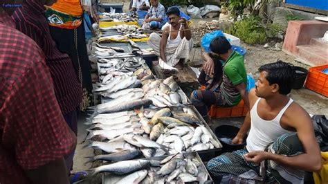 Amazing Rural Village Fish Market In Bangladesh | Lots Of Fresh Country ...