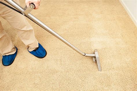 Revitalize Your Western Springs Home with Professional Carpet Cleaning ...