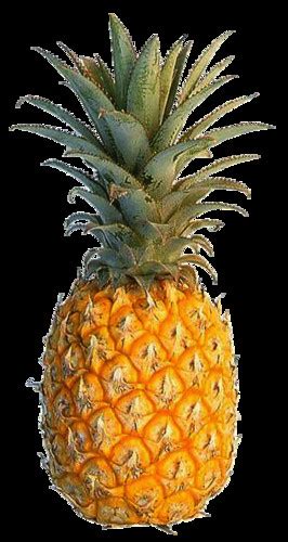 Colors images Yellow Pineapple HD wallpaper and background photos ...