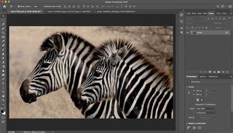 Cómo crear imágenes PNG con Adobe Photoshop | Creativos Online