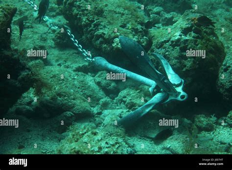 Anchor of ship underwater on the bottom of the sea Stock Photo - Alamy