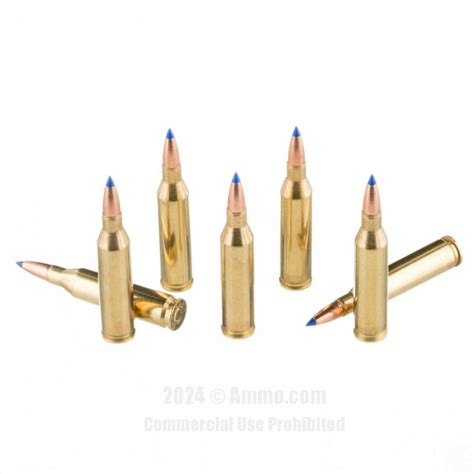 243 Ammo For Sale (Buy 243 Winchester Ammo Online)