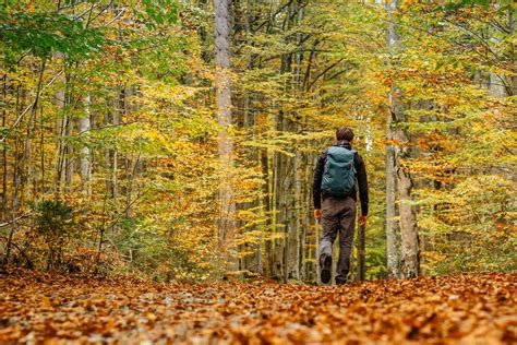 Fall Little Cottonwood Canyon Hikes in Utah - Canyon Services