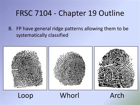 PPT - Chapter Nineteen – Friction Ridge Examinations PowerPoint Presentation - ID:2238349