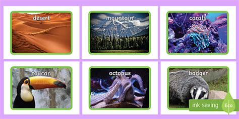 Animals Habitats Display Photos - animal display, photo display