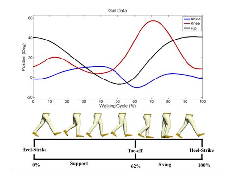 [DIAGRAM] Running Gait Phases Diagram - MYDIAGRAM.ONLINE