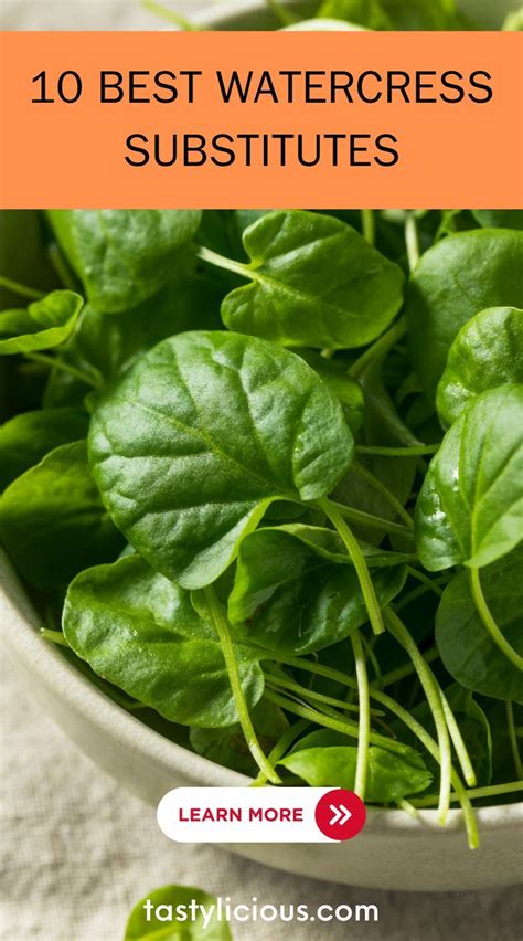 watercress substitute | what can i use as a substitute for watercress ...