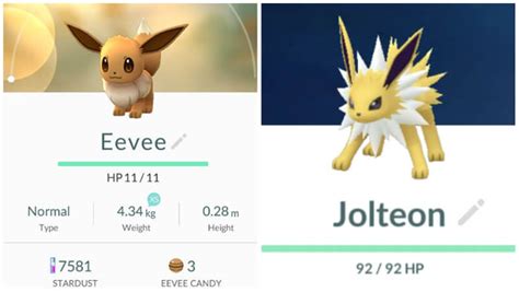 Eevee Evolutions Jolteon