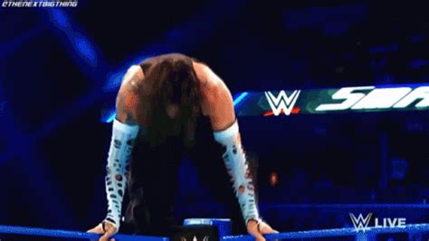 Jeff Hardy Swanton Bomb GIF - JeffHardy SwantonBomb ShinsukeNakamura ...