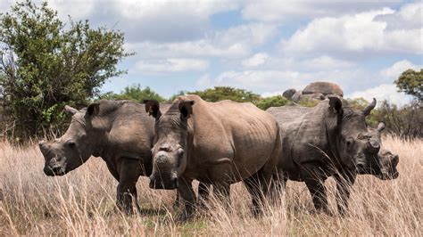 The Great Southern Africa Safari in Botswana, Africa - G Adventures