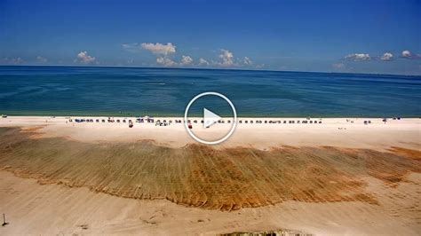 Fort Myers Beach Pier | Live Fort Myers Beach Webcam