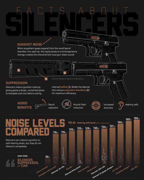 Weapons Guns, Guns And Ammo, Sound Suppression, Shooting Range, Information Graphics, Military ...